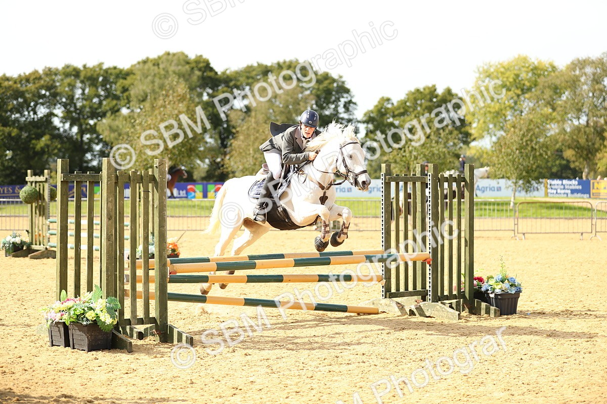 SBM_67973 - J17 - Junior Pony 80cm Championship