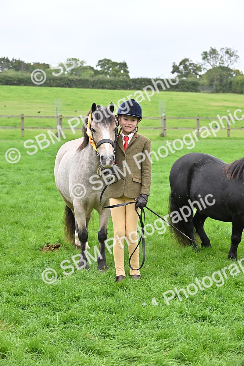 SBM_68631 - S42 - Junior Handler 9-12 Years