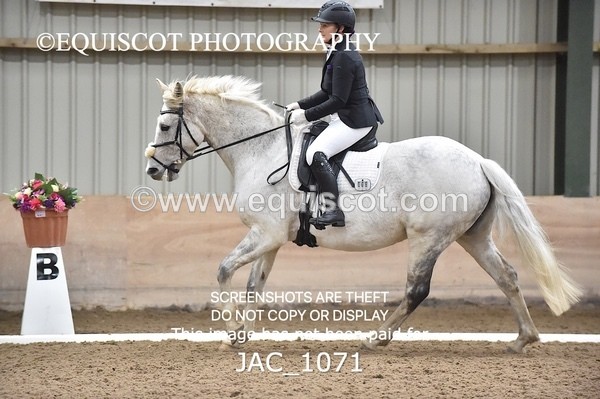 JAC_1071 - CLASS 4 NOVICE 1