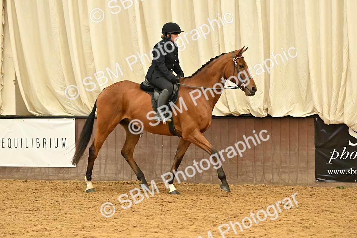SBM_001983 - Class 24 - BSHA Ridden Racehorse to Show Horse