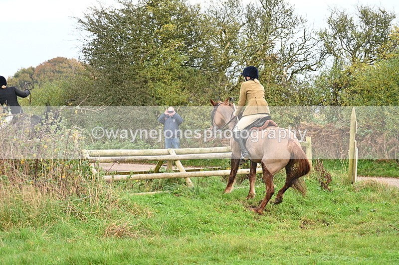 WJ7_0338 - Camera 1 & Last fence