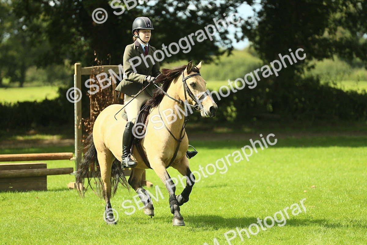 SBM_42857 - S30 - M&M Working hunter Pony