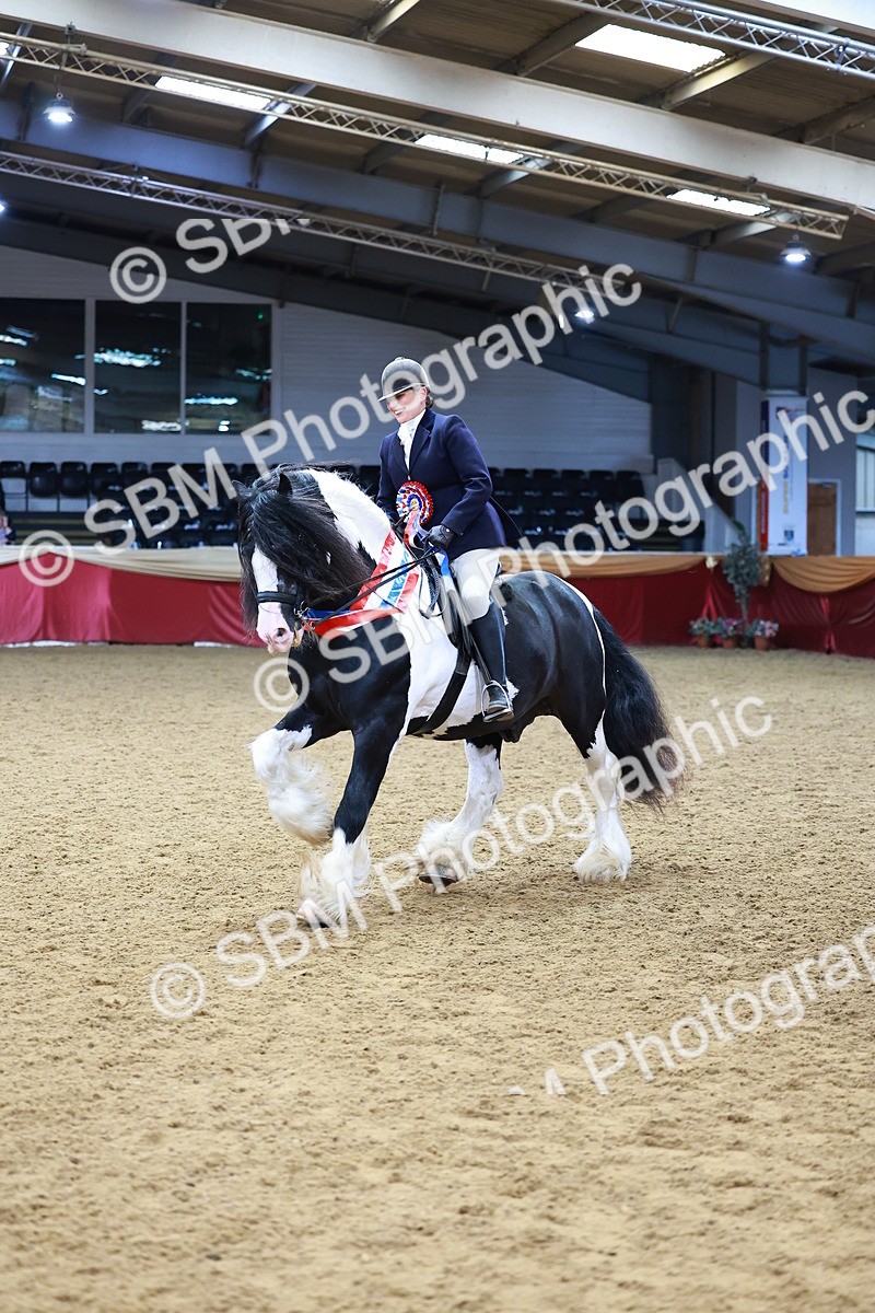 SBM_20873 - Grand Sup Finals - IH & Ridden Champs