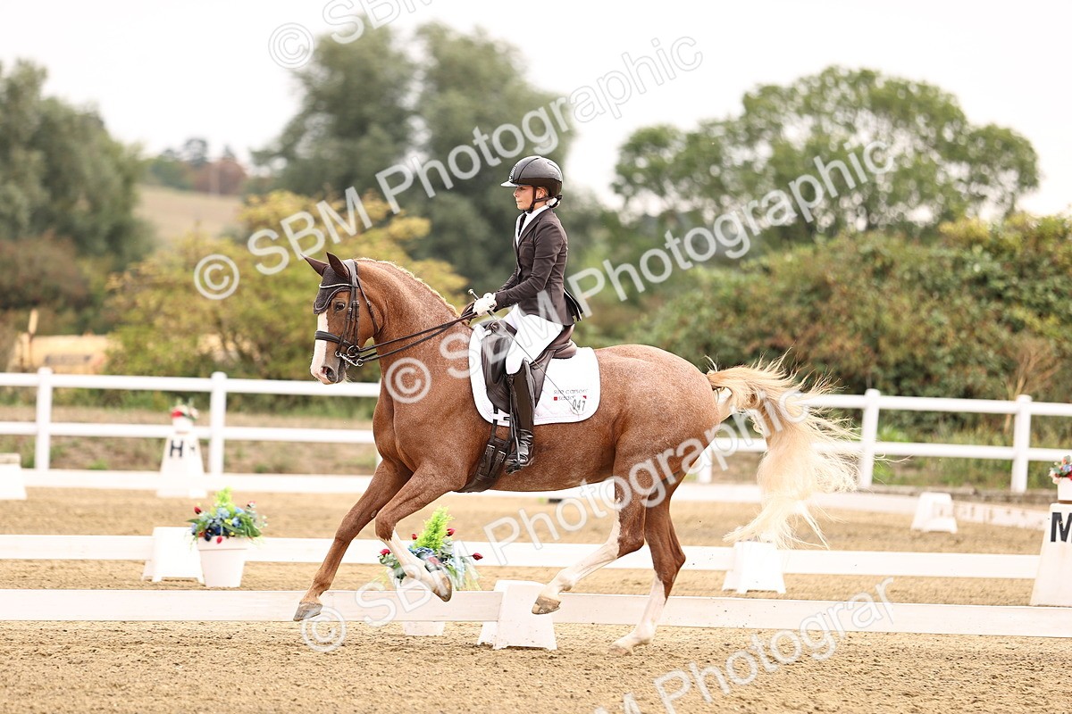 SBM_011530 - Class 1 - Medium 5