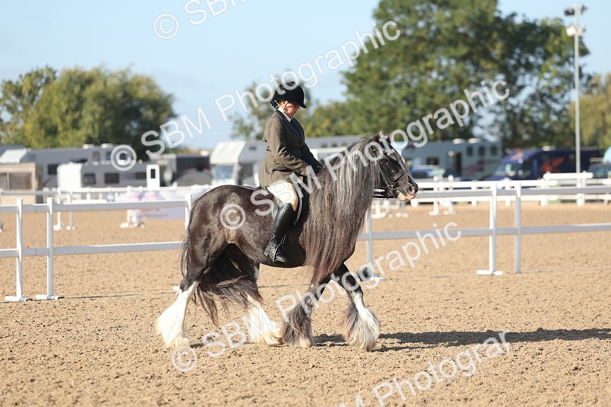 SBM_22195 - Class 802 - Ridden Groom Helpers Class