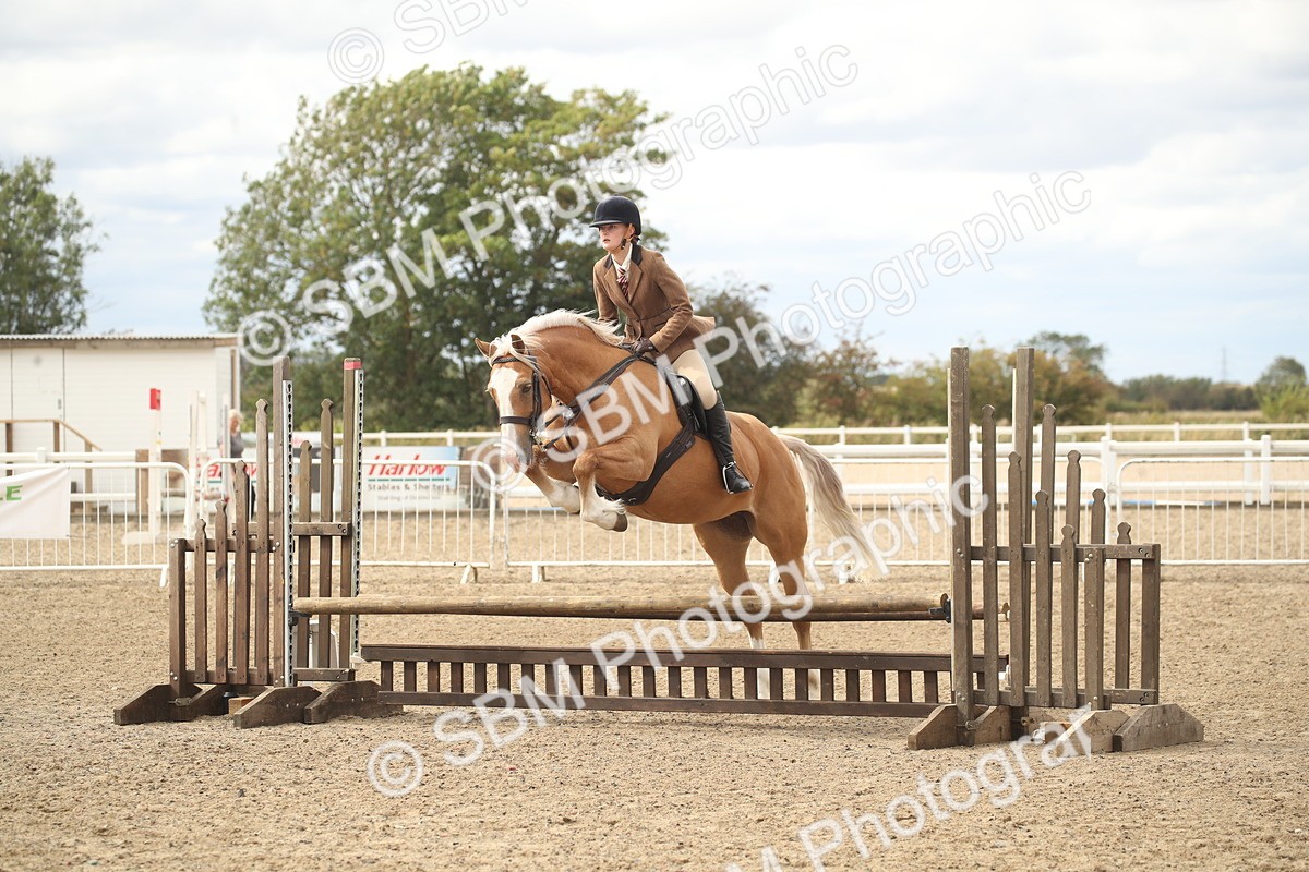 SBM_17675 - Class 508a - Working Veteran 70cm (15-19)