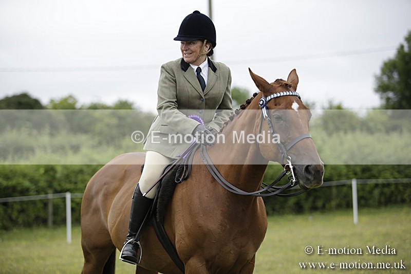 BVR160717-1057 - Ring 1 BVRC Show 16/07/17