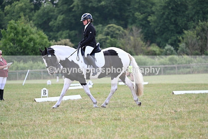 WJ7_5335 - Time 11:22 to 11:51