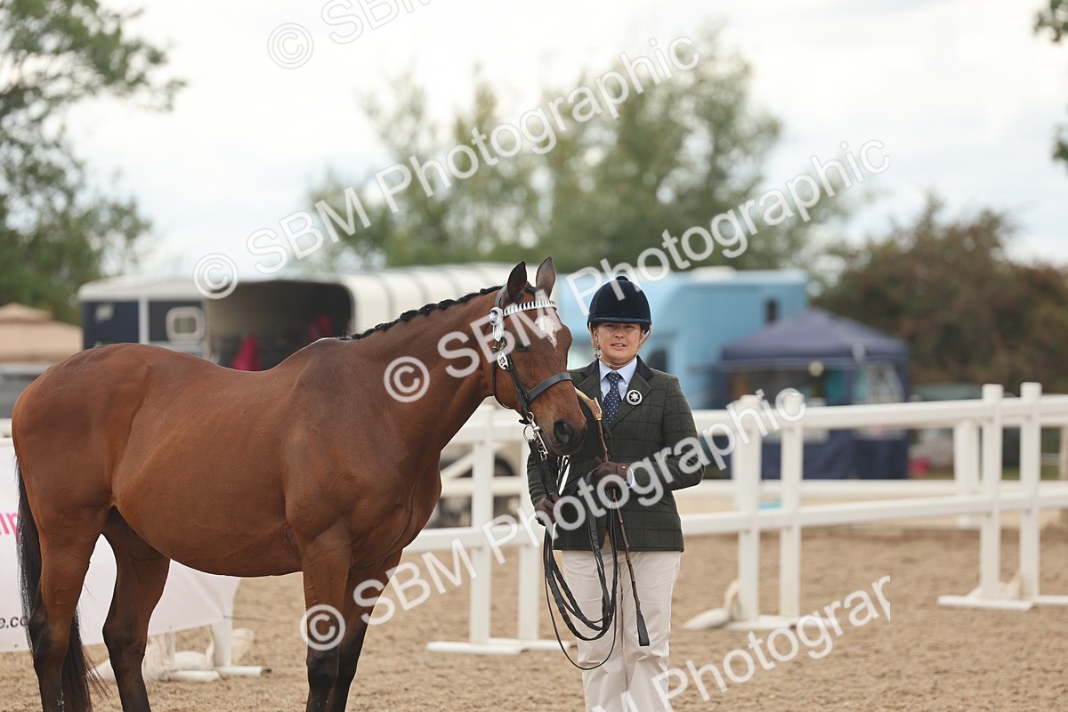 SBM_17137 - Class 313 - IH Retired Racehorse