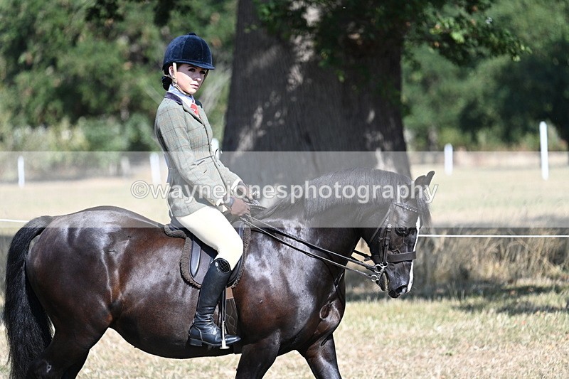 WJ7_3452 - Class 9 Mountain & Moorland Ridden