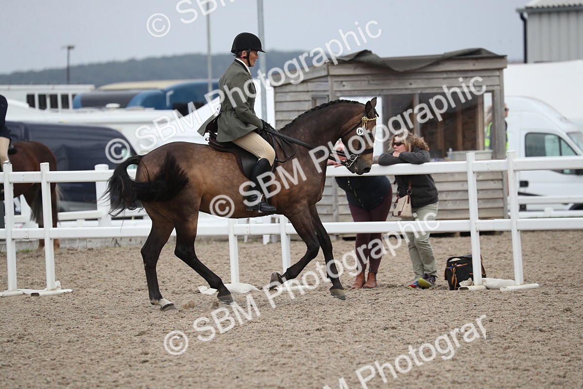 SBM_17399 - Class 315 Best Horse/Rider Combination