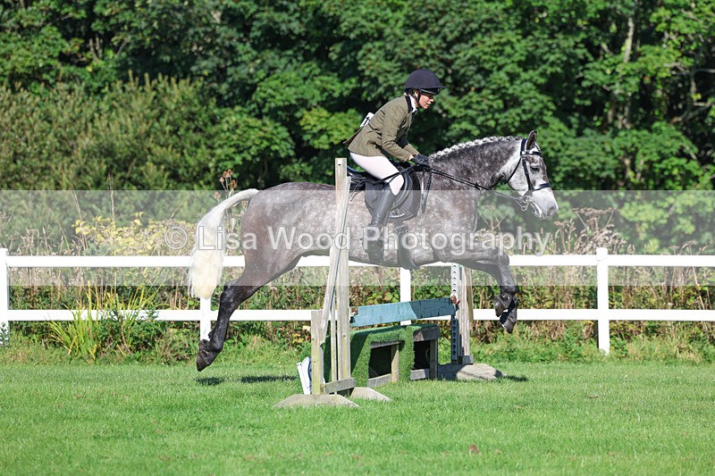 3E7A7767 - Class 2: Open Working Hunter pony