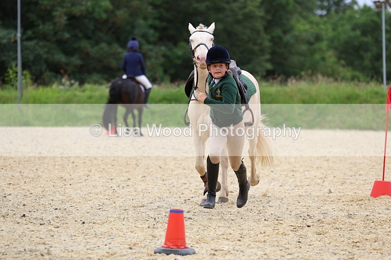 3E7A9325 - Walk trot run