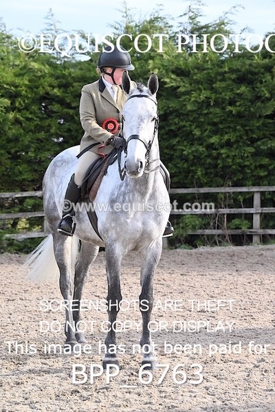 BPP_6763 - RING 1  (RIDDEN HORSES / IN HAND / VETERAN ETC)