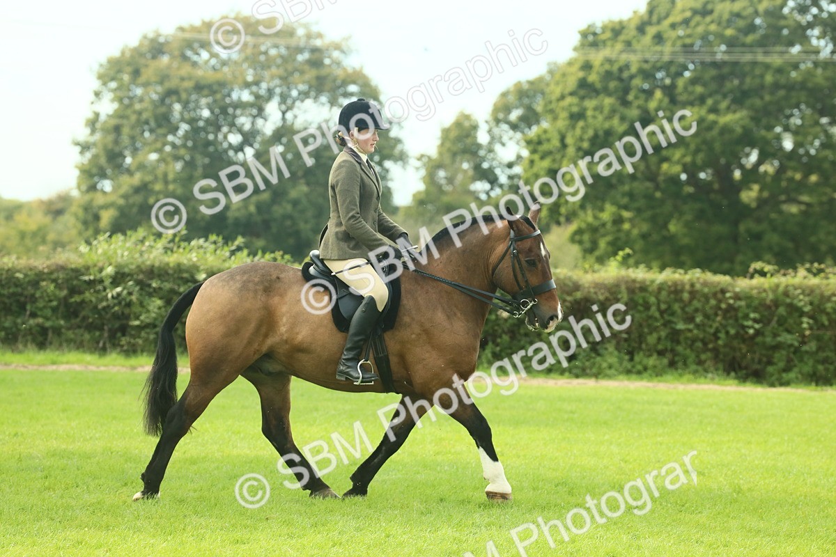 SBM_68209 - S58 - Mini Show Cob Ridden