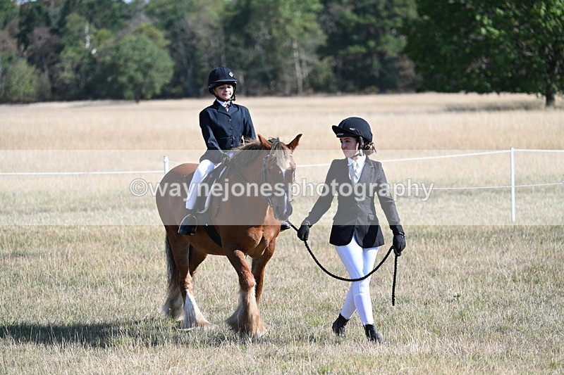 WJ7_3078 - Class 8 Ridden Tack & Turnout