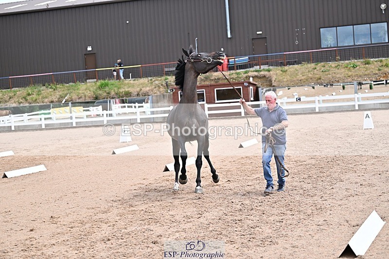 250716-130659-00339 - Trot Up 12.30 to 1.30