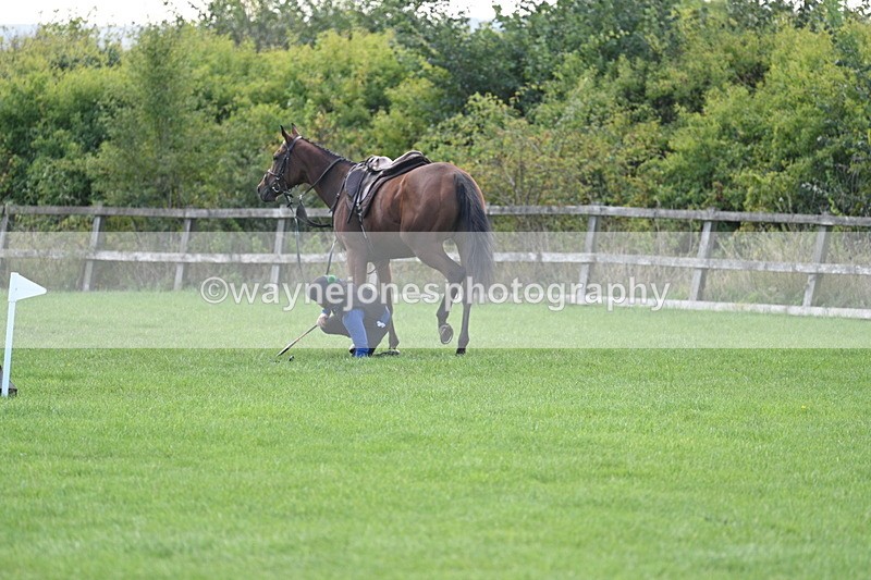 WJ7_0959 - Time 13:30 to 13:54