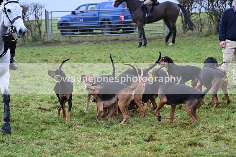 WJ7_6459 - Meet 12.30