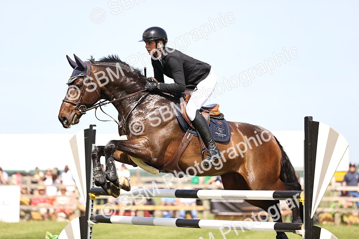 SBM_03219 - Class 201 - British Horse Feedds Speedi Beet HOYS Grade C
