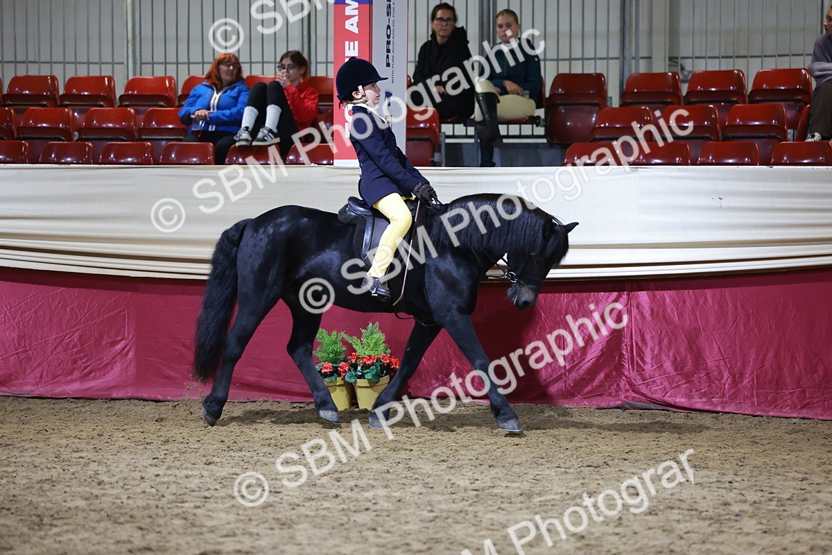 SBM_21534 - Class V - Champion of Champions