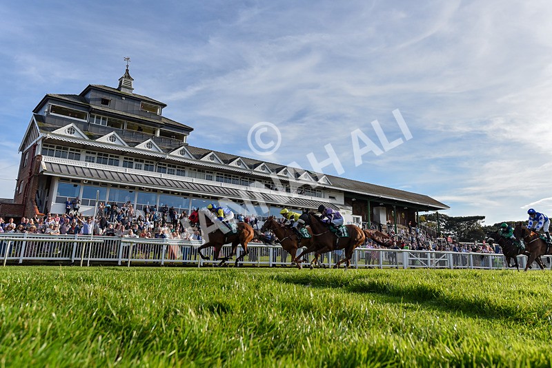 160924-Race 8-Sparkling Red-6947 - Race 8