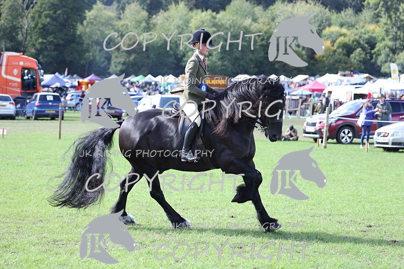 APP_3732 - Class 12 M&M ridden