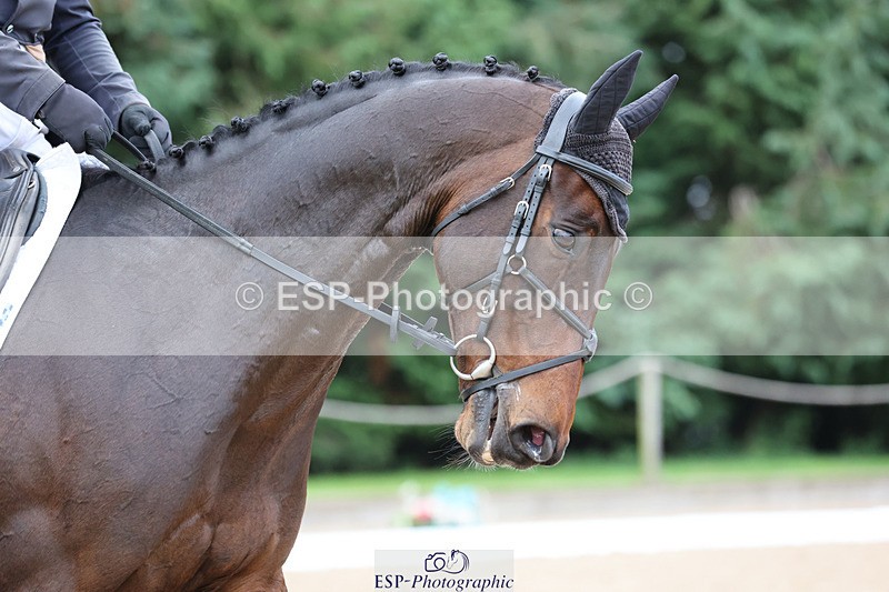 241024-145940-04721 - 229-Jim.Newsam-TULLYBEE.RENEGADE