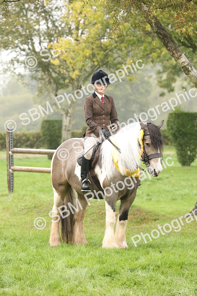 SBM_72930 - Ridden Horse Supreme Championship