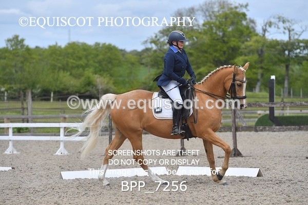BPP_7256 - 3 D HARRISON