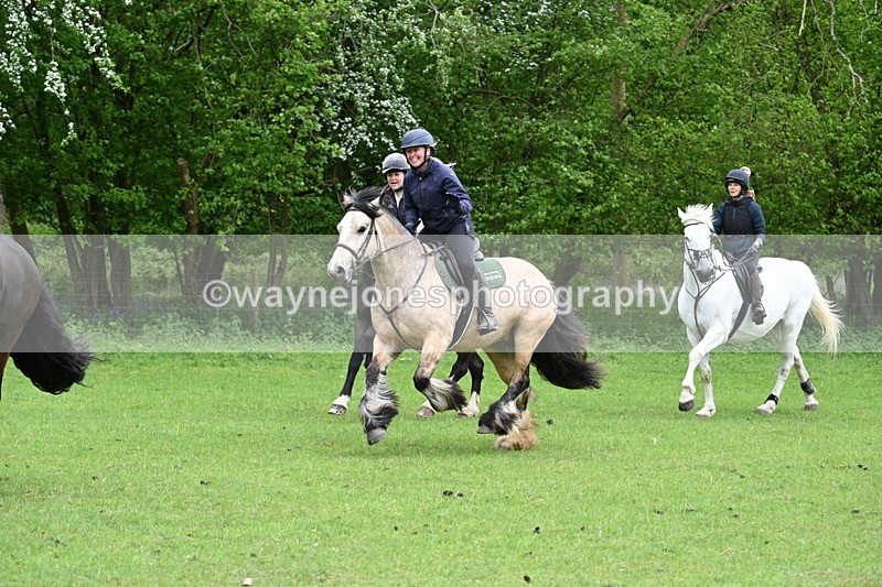 WJ7_2536 - Group 6 A&B Cameras