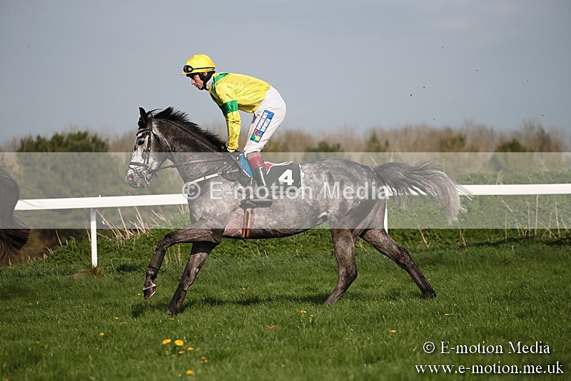 PtP 210418 592 - South & West Wilts Point-to-Point Larkhill 21/04/18