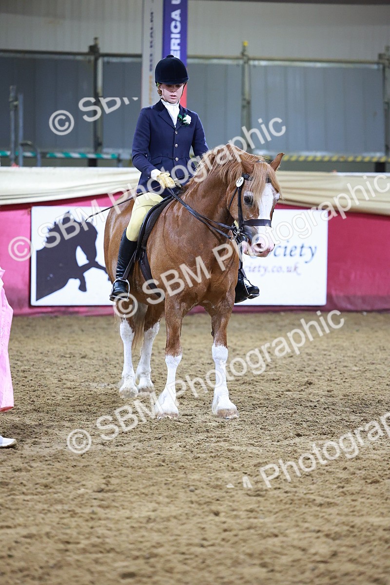 SBM_15261 - Class P - M&M Champ