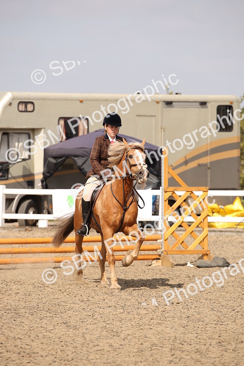 SBM_14305 - Class 407b - Working Veteran 60cm (20+)