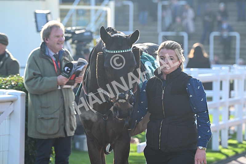 151124-Race 1-Paddock-Wot You Wearing-7072 - Race 1