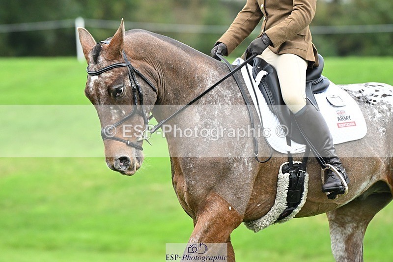 241024-105309-03081 - 501-Captain.Holly.Day-MUSTANG