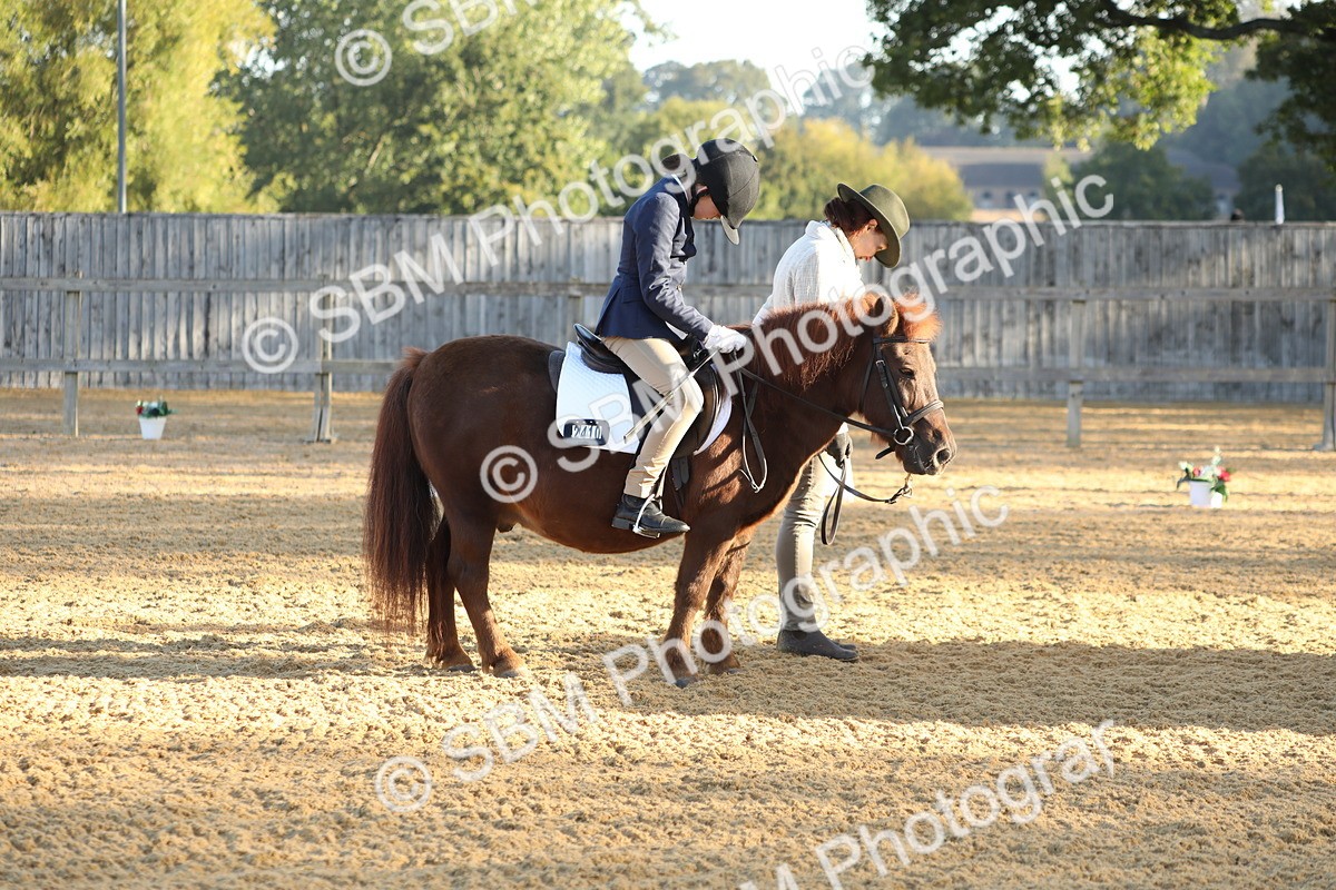 SBM_33631 - D26 - Starers - Lead Rein