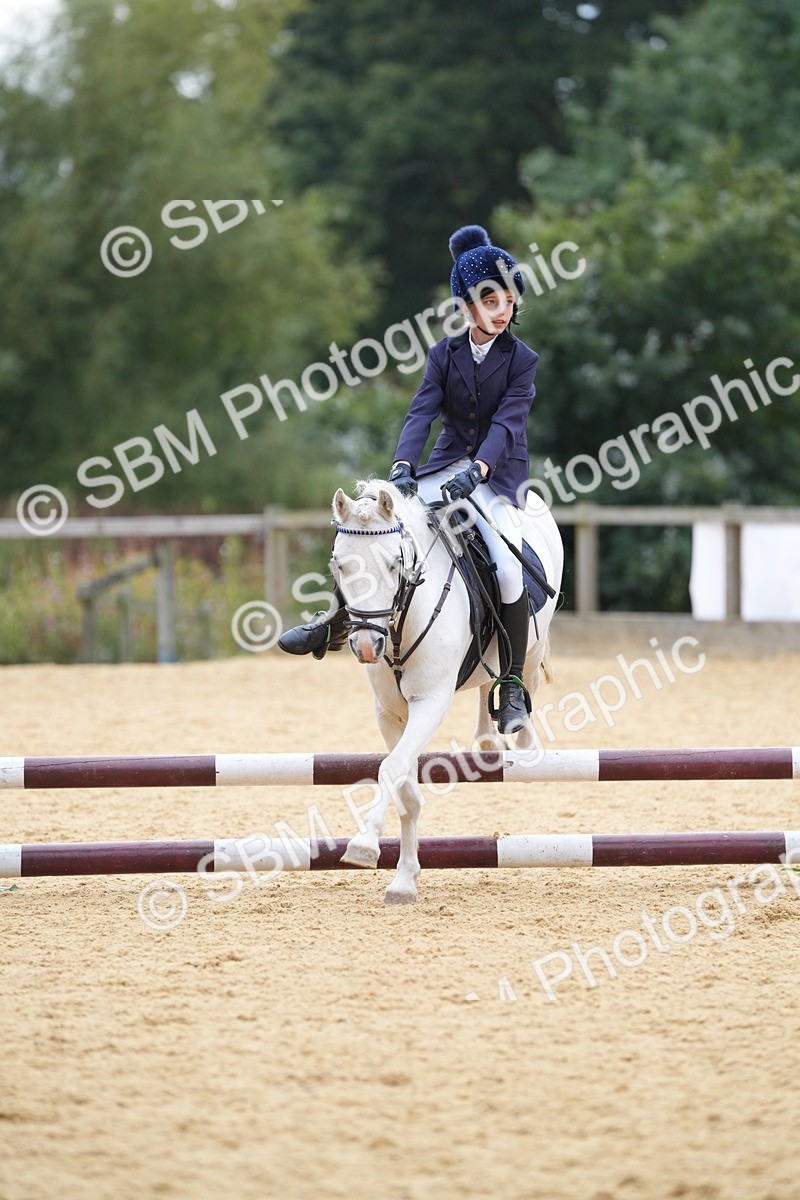 SBM_74815 - J4 - Mini Tour Junior Pony 45cm Championship