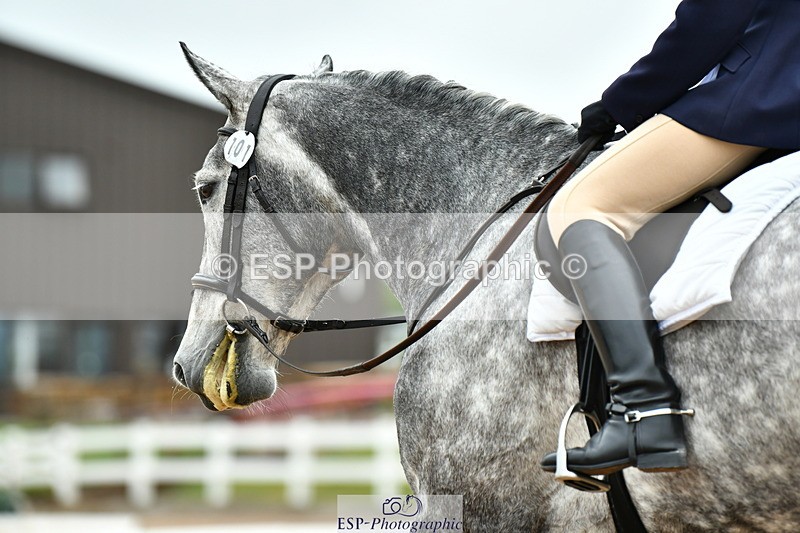 230630A-153146-03317 - Cls 1+5 Quest Intro A + Prelim 2