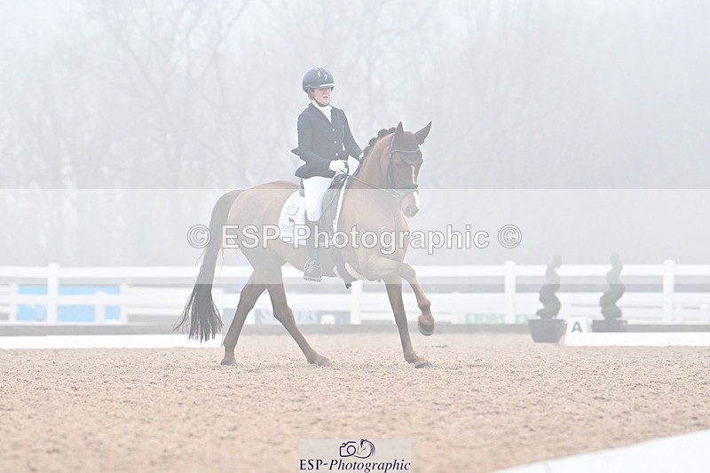 240217A-123334-02249 - 225-Lucy.Goodman-Queenie.S