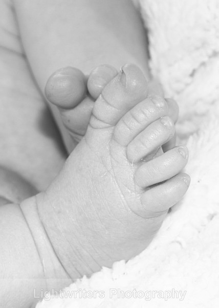 Buckle 52 - Baby Harper