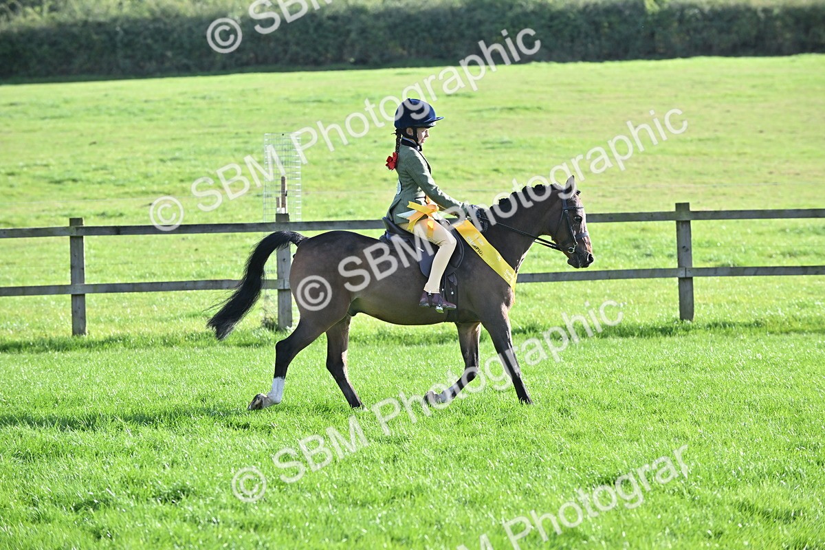 SBM_51295 - S22 - First Ridden show and show Hunter Pony