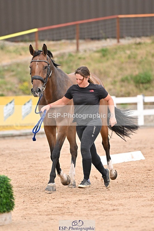 250716-161543-02531 - Trot Up 3.30 to 4.30