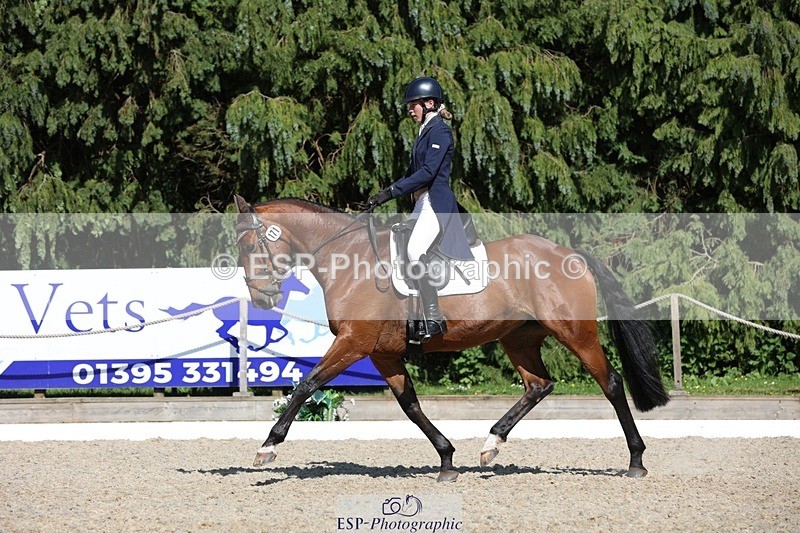 230526-162451-07814 - 171-SLANEYSIDE_COOLEY-Lara_Chapple-WEDTrotUp+DR