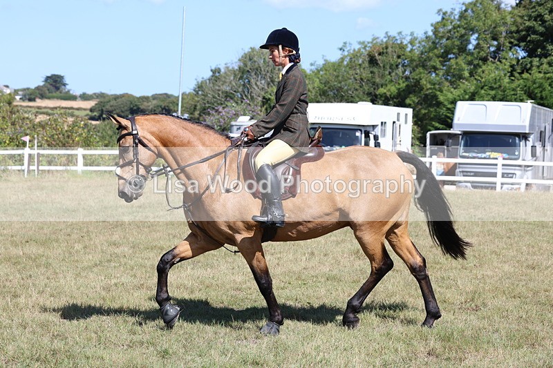 3E7A6260 - Class 6: Working Hunter 1m
