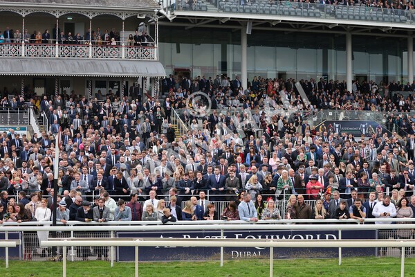 yr09102021r5-14 - Race 5 3.50pm Coral ebfstallions.com Novice Stakes
