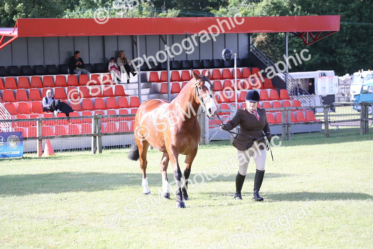 SBM_11111 - Class 92-93 - LIHS BSHA Rising Star Cobs