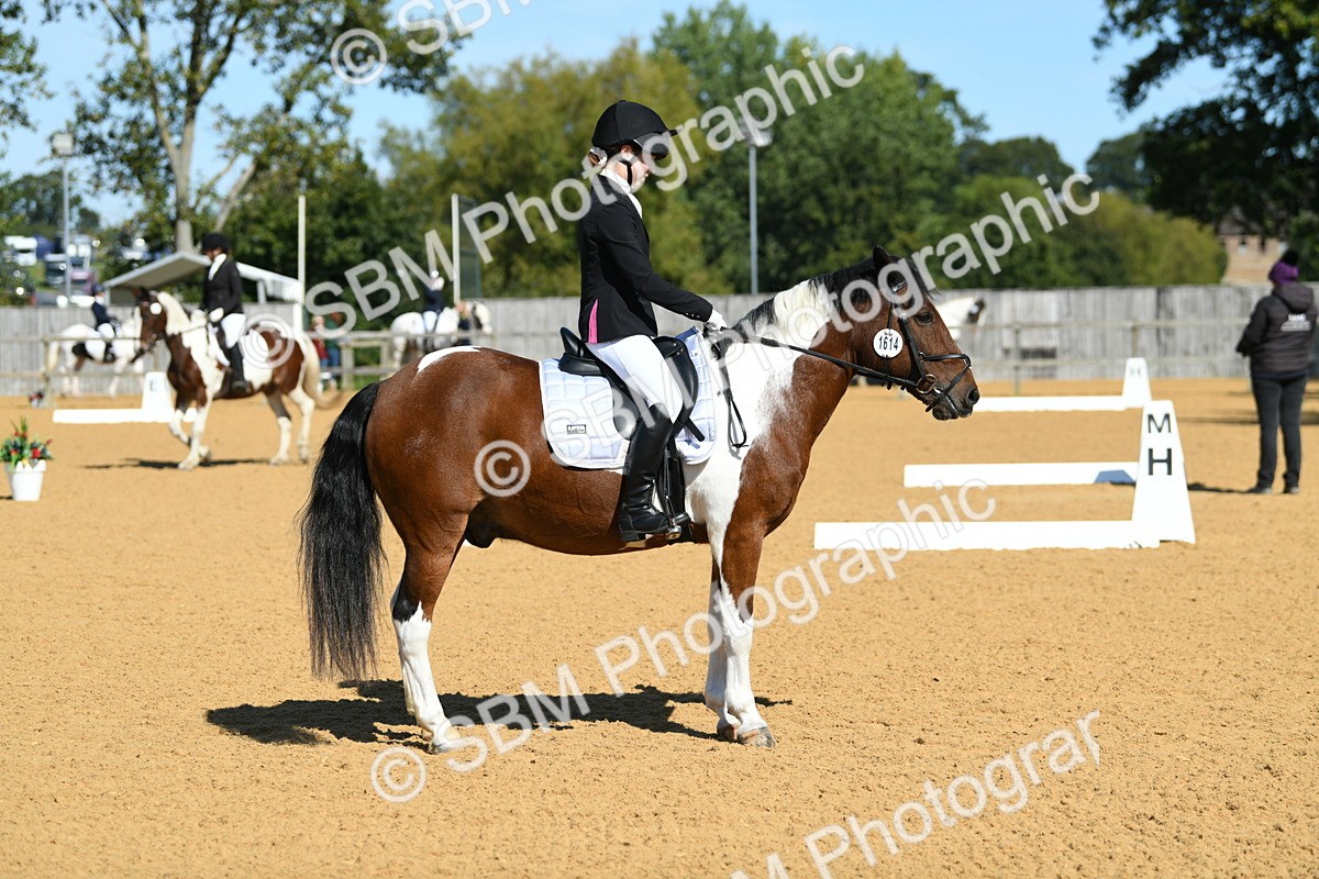 SBM_20600 - D13 - Grand Tour Championship - Prelim 12