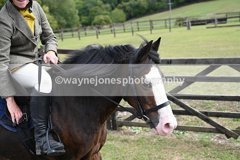 WJ7_6709 - Berks & Bucks at Blandy’s Farm 31-08-25