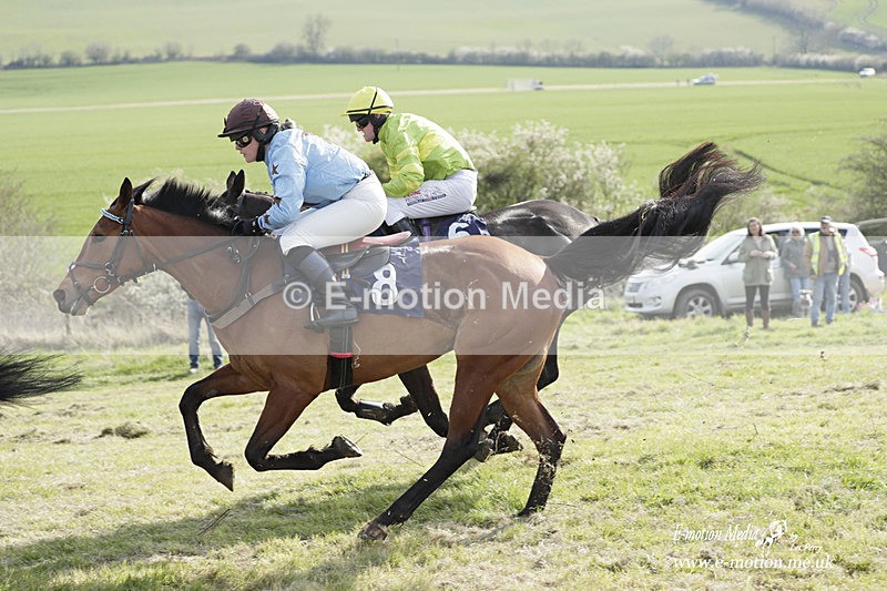 PtP 080423 588 - Dingley Races The Woodland Pytchley Hunt PtP 08/04/23